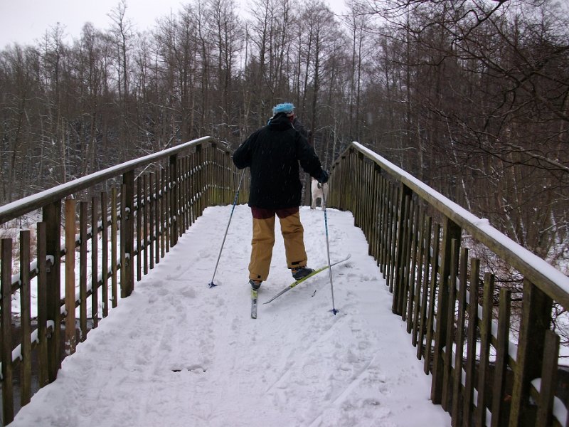 Crosslauf Bergedorf 042